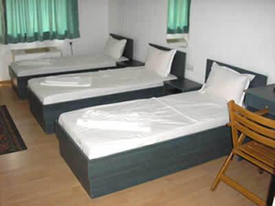 Hotel Pilevski Blagoevgrado Habitación foto